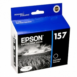 Epson Photo Black Ink Cartridge for Epson Stylus Photo R3000 Printer