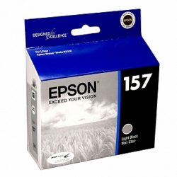 Epson Light Black Ink Cartridge for Epson Stylus Photo R3000 Printer