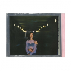 Impossible Instant Color Film for 8x10 - sample