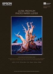 product Epson Ultra Premium Photo Luster Inkjet Paper - 240gsm 8.5x11/250 Sheets