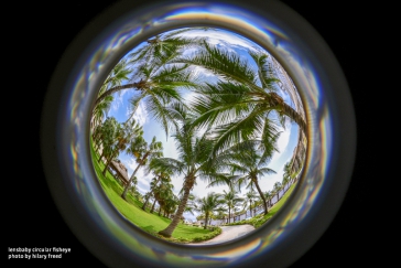 The Circular Fisheye is great for capturing the scale of endless landscapes and big events, fun self-portraits, quirky shots of pets or friends, creating extreme perspective, and experimenting with unique lens flare.