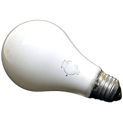 Ushio Enlarger Bulb PH213 250W