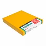 Kodak TMAX 400 ISO 4x5/10 Sheets TMY