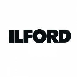 Ilford 120 Roll Film Backing Paper 61.5mm x 100 ft. Roll