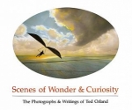 Scenes of Wonder & Curiosity by Ted Orland