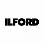 Ilford Multigrade Filter Grade 2.5 - 12 in. x 12 in. Sheet
