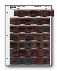 Printfile Archival Negative Preservers 35mm 7 strips of 5 negatives - 5 pack (357B)