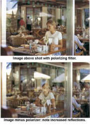 Hoya Filter Circular Polarizer 49mm
