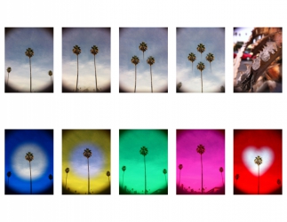 Filters shown, from L-R, top to bottom: Standard Holga Vignette, Dual Split Image Lens, Triple Split Image Lens, Quadruple Split Image Lens, 60mm Macr