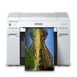 Epson® SureLab® D870 Minilab Printer
