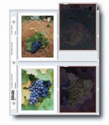 Printfile Archival Print Preservers Holds 8 - 4x5 Sleeved Polaroid Prints - 100 pack (454HBPOL)