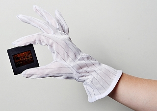 Dotline Anti Static Gloves - Extra Large