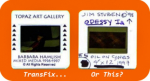 TransFix Slide Labels for labeling 35mm Slide Mounts - 100 Pack