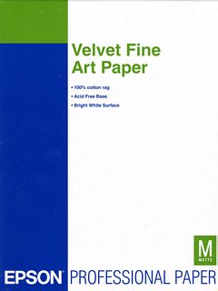 Velvet Fine Art